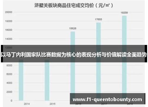以马丁内利国家队比赛数据为核心的表现分析与价值解读全面趋势